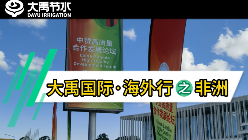 J9集团国际·海表行之非洲