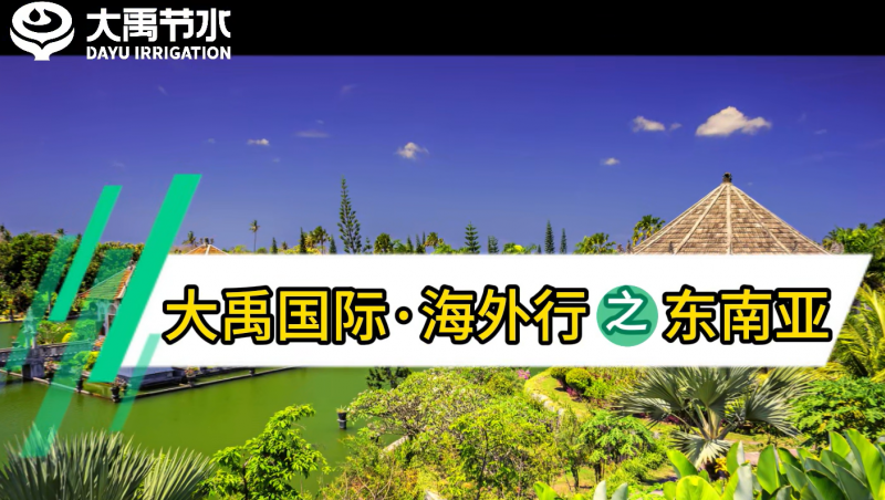J9集团国际海表行之东南亚