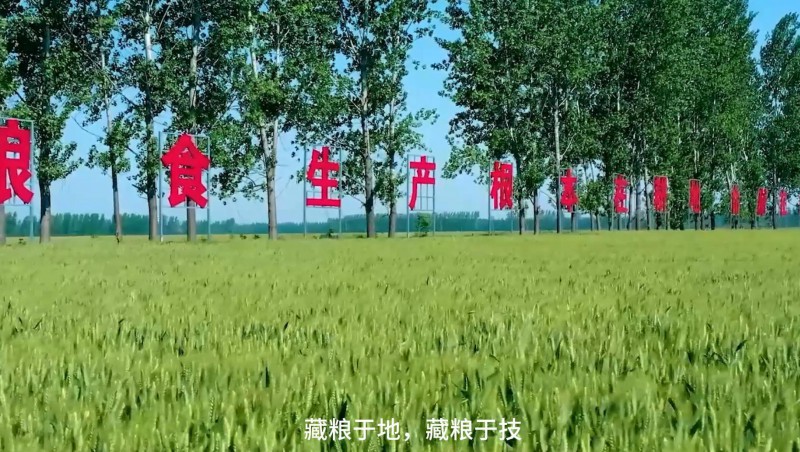 J9集团节水：破解高尺度农田建设难题，扛牢粮食安全沉担，以科技与责任交出了一份创新答卷。