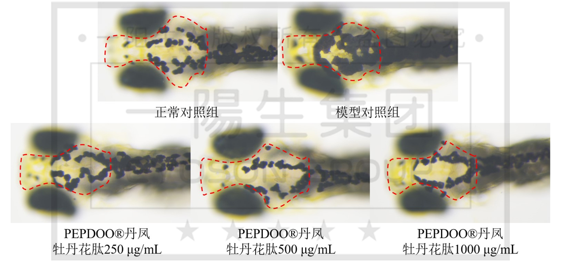 尊龙凯时人生就是博·(中国)官网